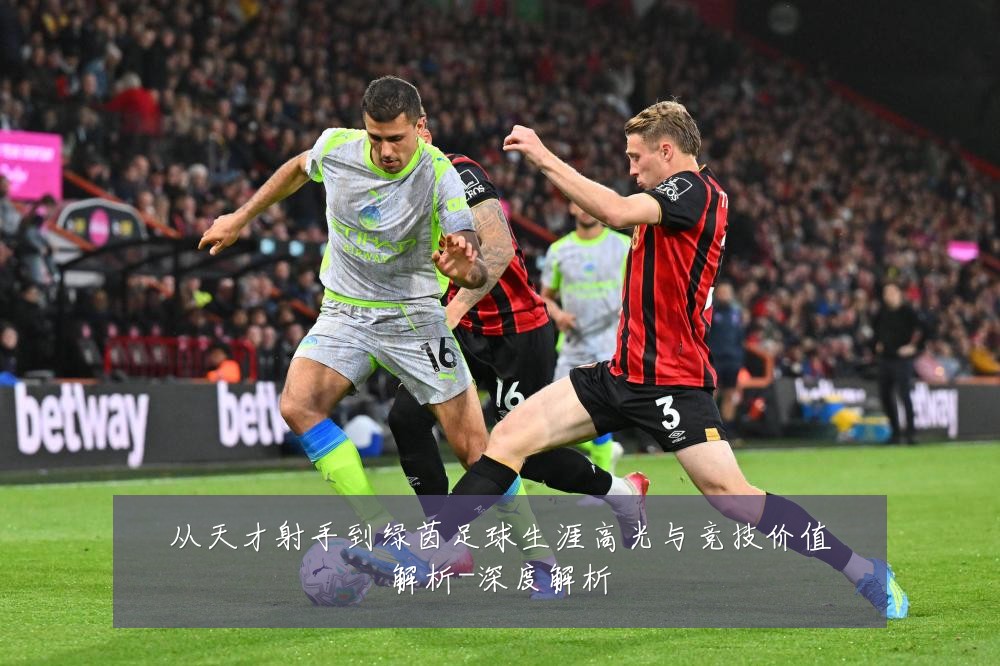 从天才射手到绿茵足球生涯高光与竞技价值解析-深度解析